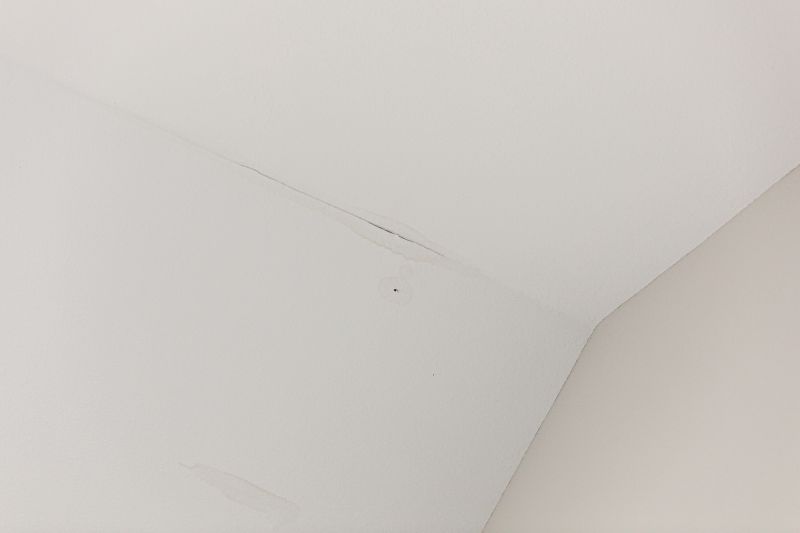 Attic Water Damage Repair in Houston, TX